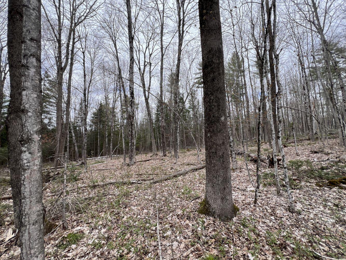 M17-l75 Canaan Road Pittsfield, ME 04967 - Photo 4 of 8 3