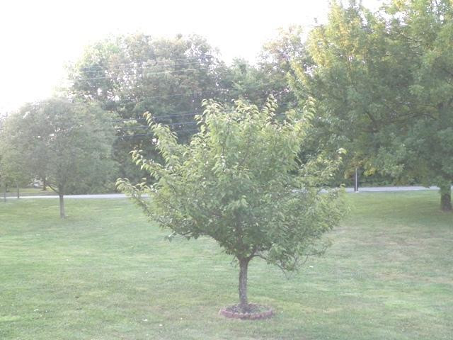 6350 Taylor Mill Road Covington, KY 41015 - Photo 10 of 25 Gallery Image 10