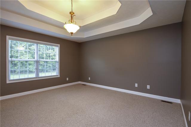 95 Brummitt Road Castalian Springs, TN 37031 - Photo 7 of 16 Master bedroom with trey ceilings