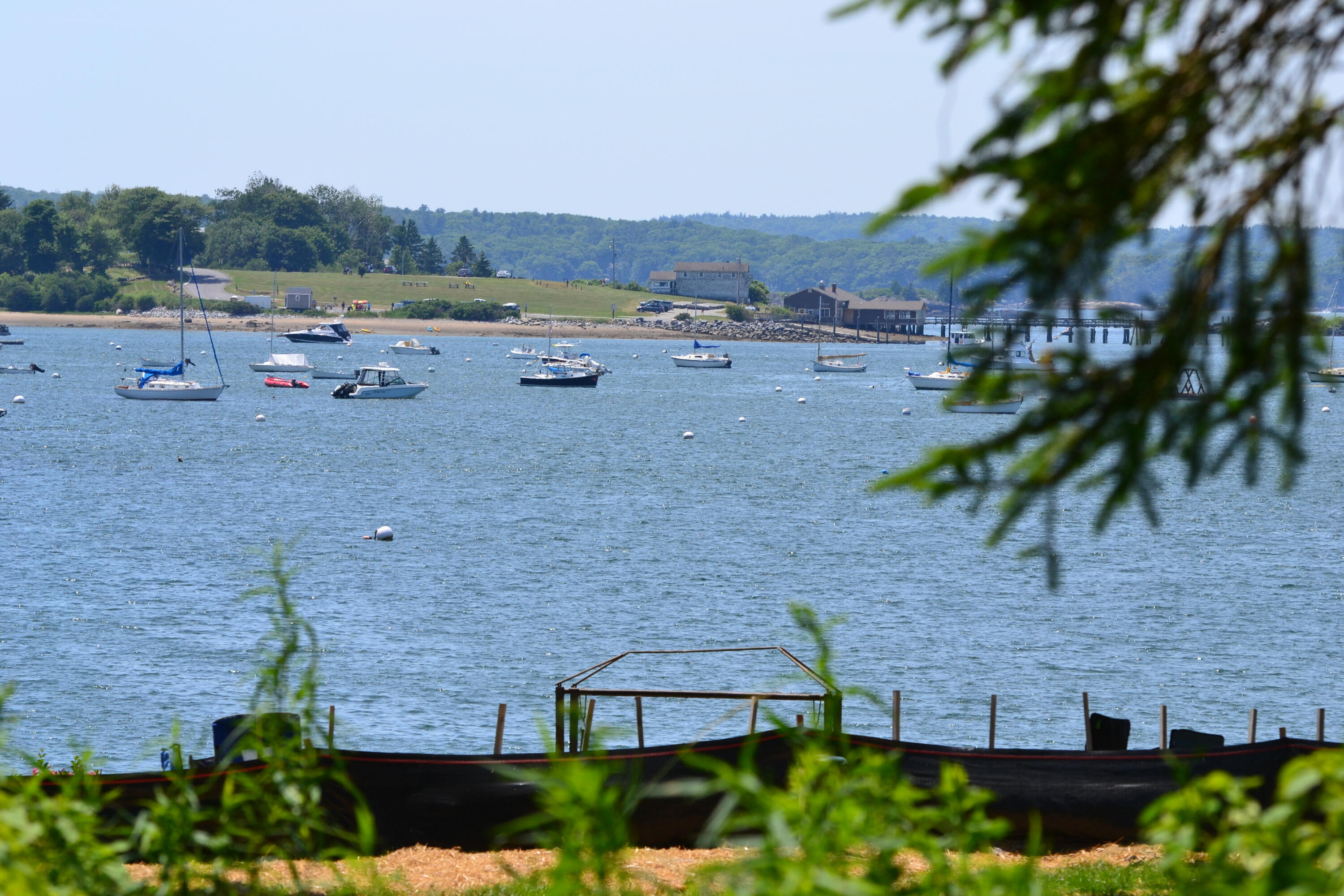 63 Bradley Shore Road Pemaquid, ME 04558 - Photo 19 of 22 DSC_0096