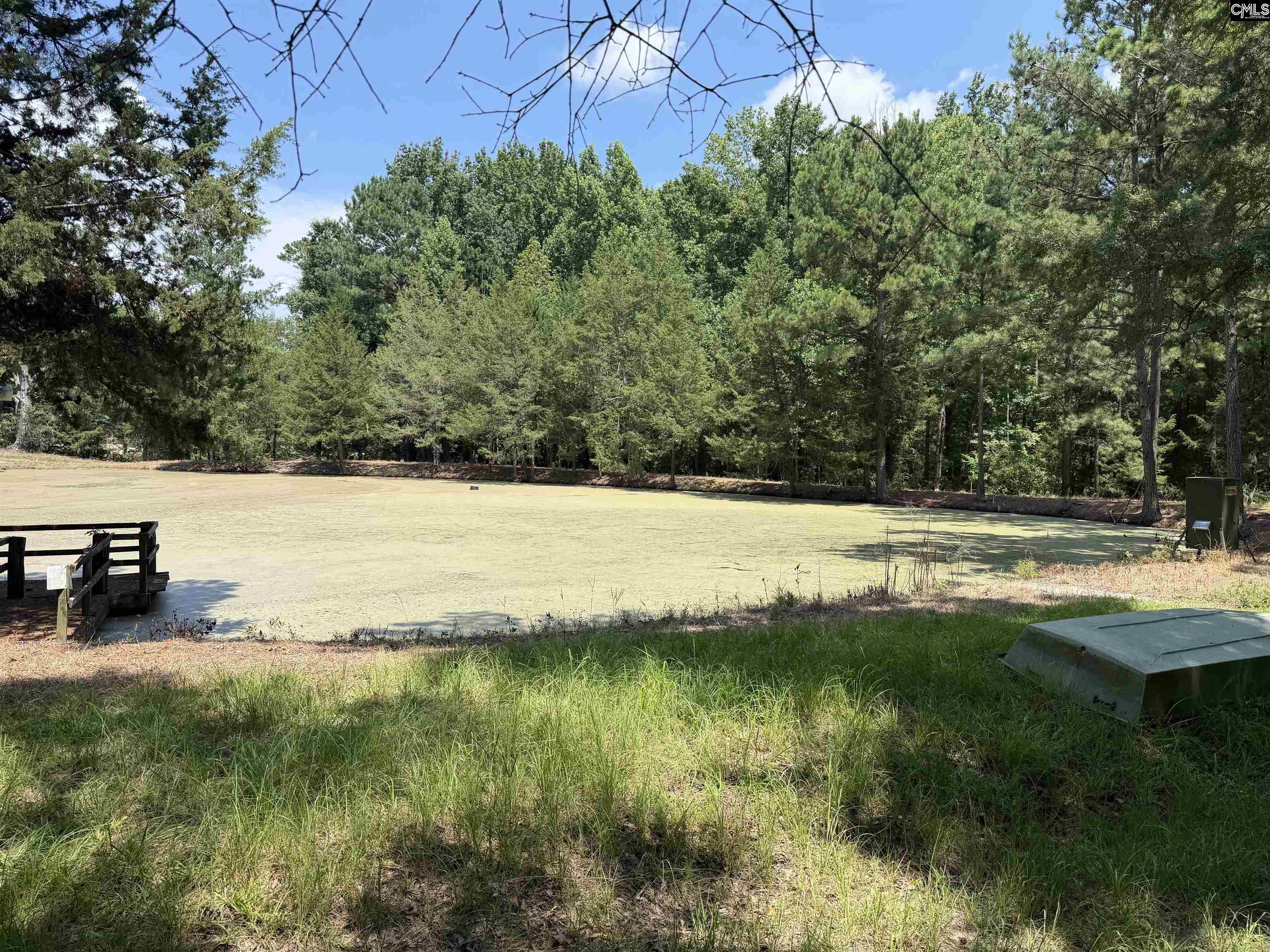 812 Sandfield Road Blythewood, SC 29016 - Photo 7 of 25