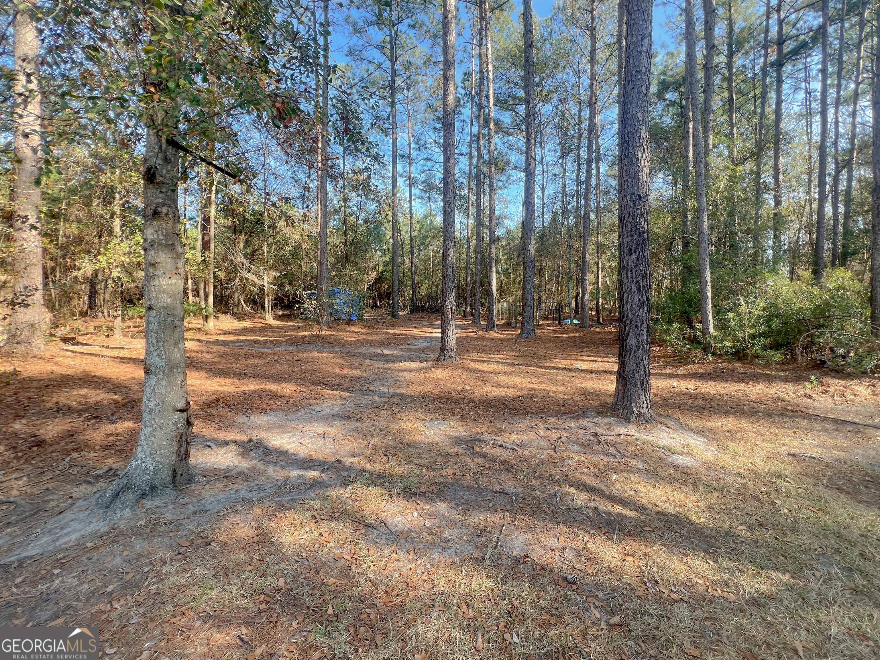 1610 Clifton Road Statesboro, GA 30458 - Photo 8 of 37 a view of a yard with basketball court