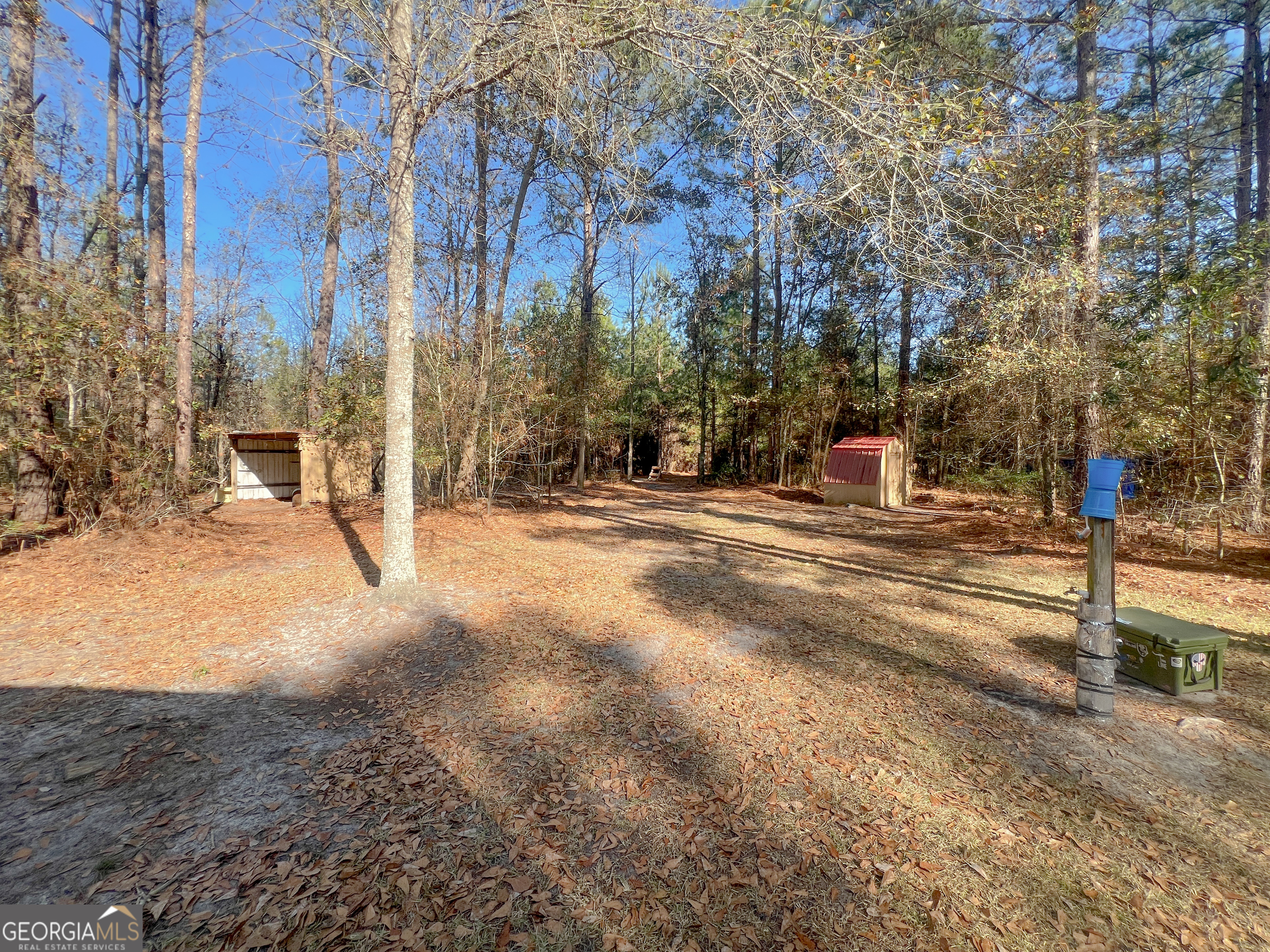 1610 Clifton Road Statesboro, GA 30458 - Photo 9 of 37 a view of road with large trees