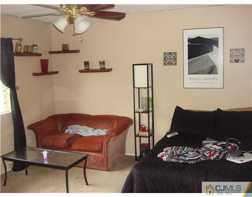 8607 Hana Road Edison, NJ 08817 - Photo 4 of 9 a living room with furniture and a fireplace