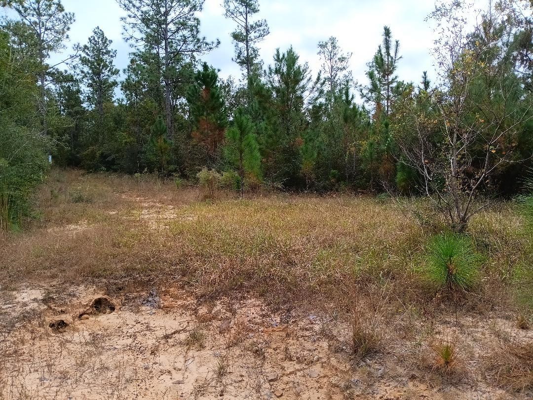 0 Sibley Creek Road Daphne, AL 36527 - Photo 7 of 10 View