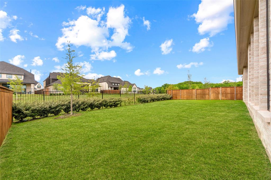 14736 Gerbera Daisy Road Frisco, TX 75035 - Photo 34 of 40