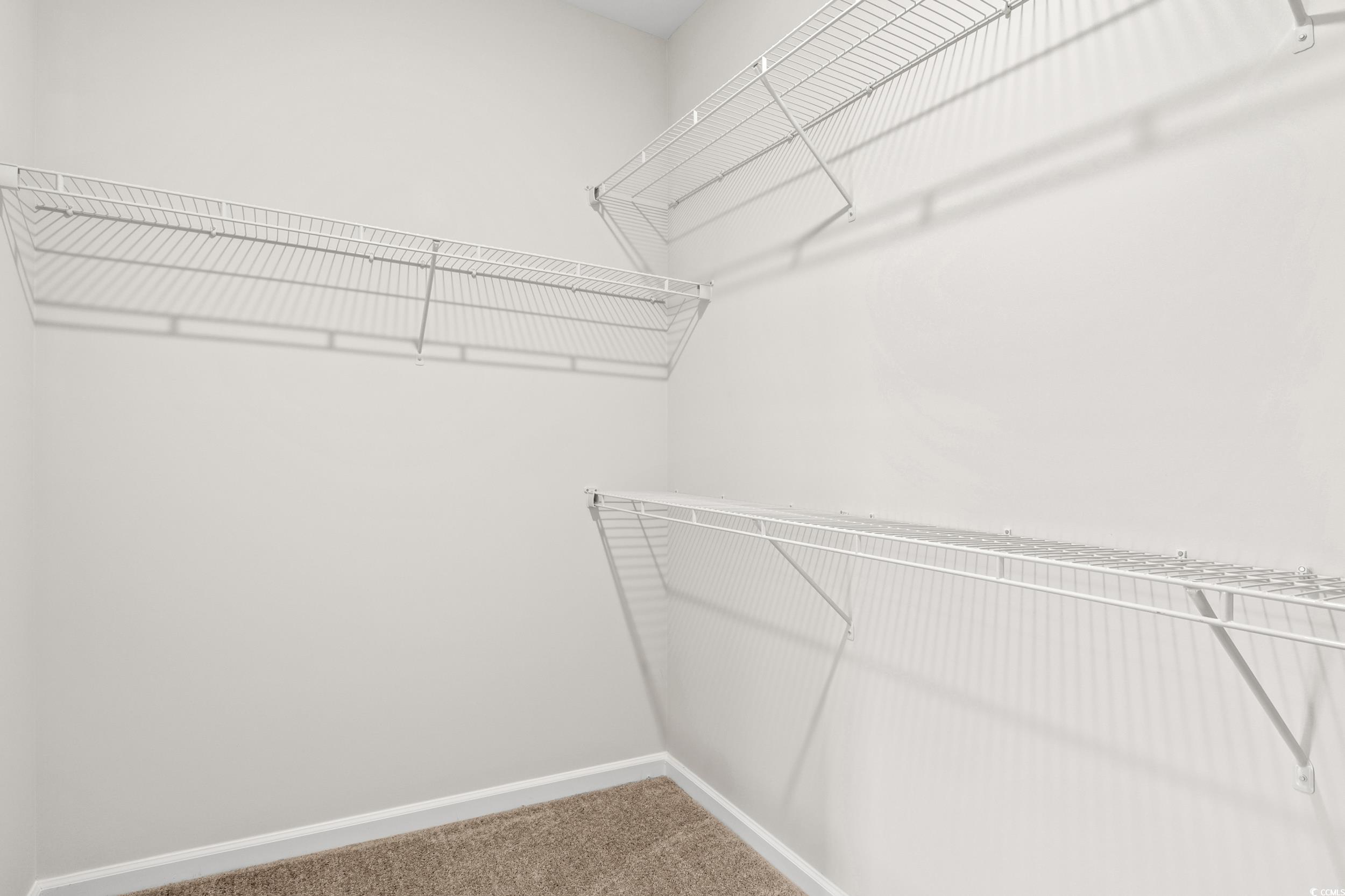 300 Lakota Loop Longs, SC 29568 - Photo 12 of 18 Walk in closet featuring carpet floors