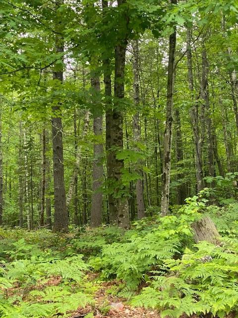 0 Middle Road North Waterboro, ME 04061 - Photo 1 of 3 West Road land 3