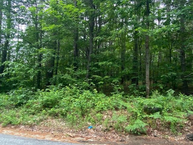 0 Middle Road North Waterboro, ME 04061 - Photo 2 of 3 West Road land 2