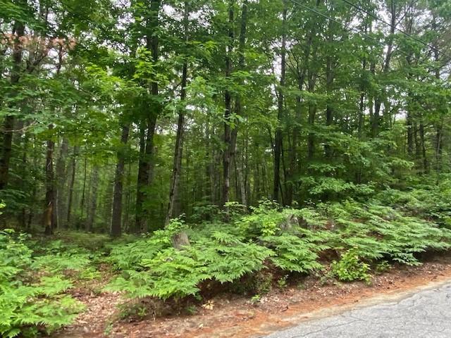 0 Middle Road North Waterboro, ME 04061 - Photo 3 of 3 West Road land