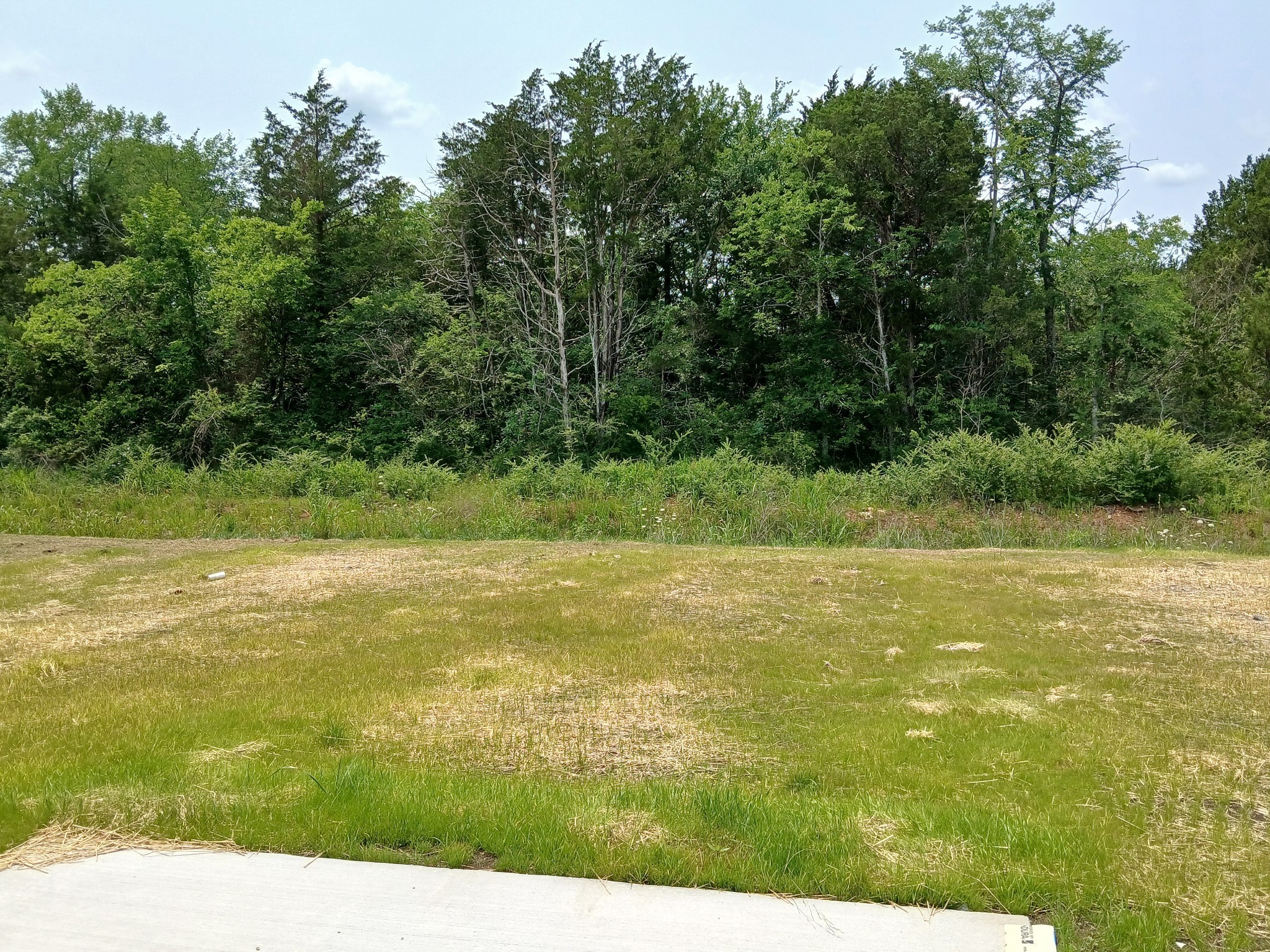 2101 Red Barn Road Christiana, TN 37037 - Photo 3 of 80