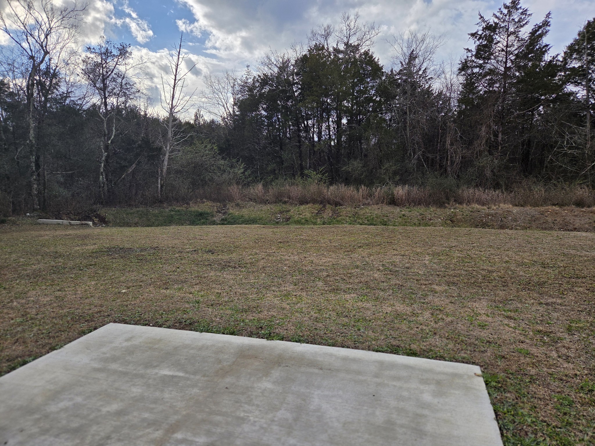 2101 Red Barn Road Christiana, TN 37037 - Photo 63 of 76