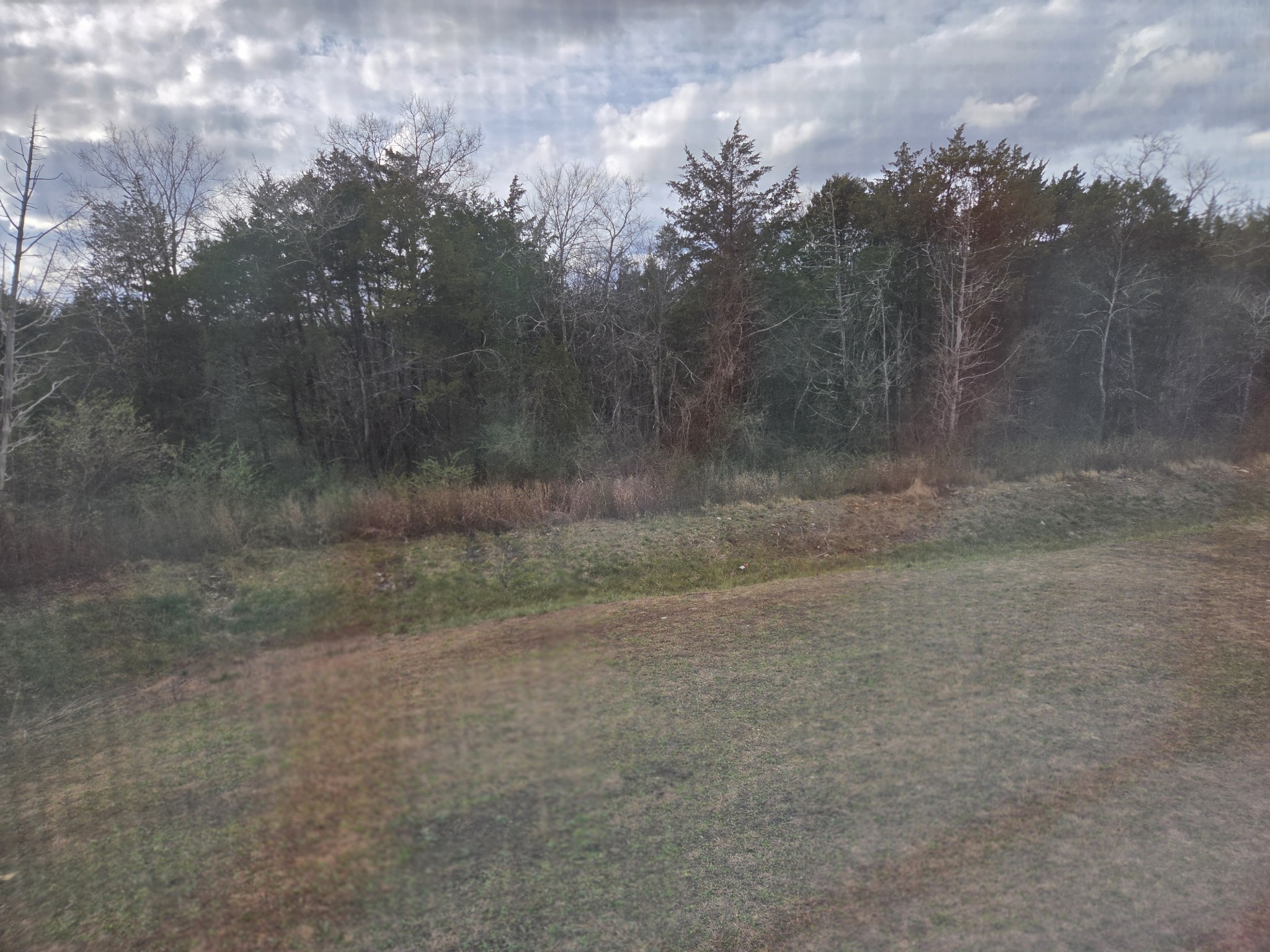 2101 Red Barn Road Christiana, TN 37037 - Photo 67 of 76