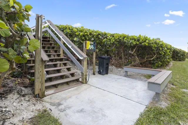a view of a yard with plants and a bench
