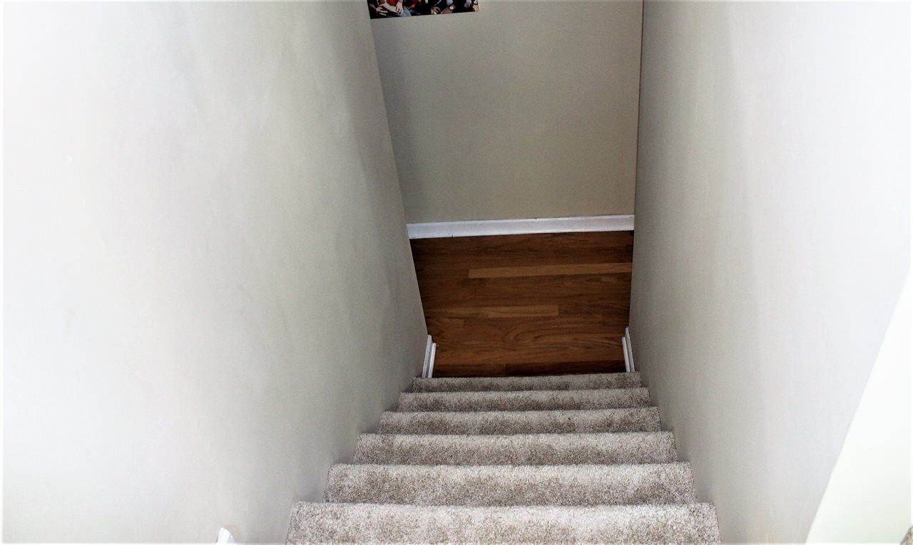 647 Gamble Gap Road Tellico Plains, TN 37385 - Photo 24 of 39 Gallery Image 24