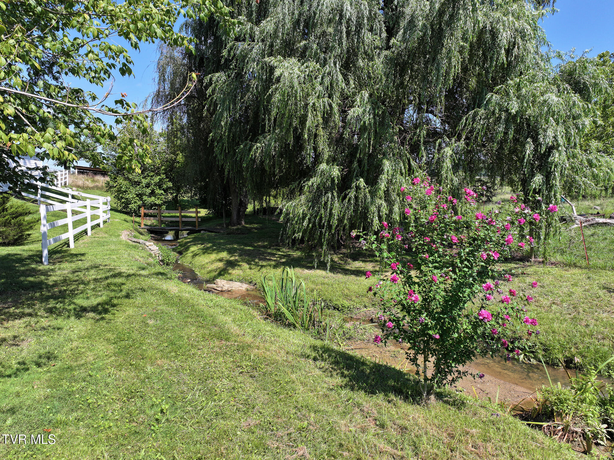 1005 Old Snapps Ferry Road Chuckey, TN 37641 - Photo 27 of 50 DJI_20250804102913_0275_D