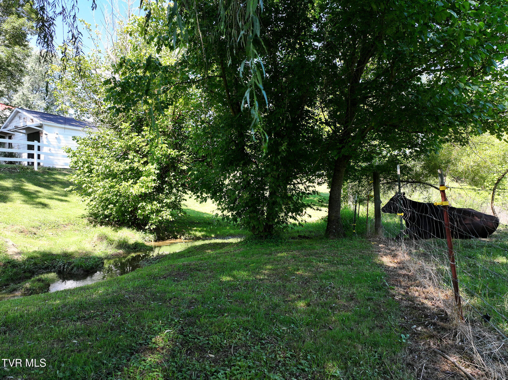 1005 Old Snapps Ferry Road Chuckey, TN 37641 - Photo 28 of 50 DJI_20250804103126_0280_D