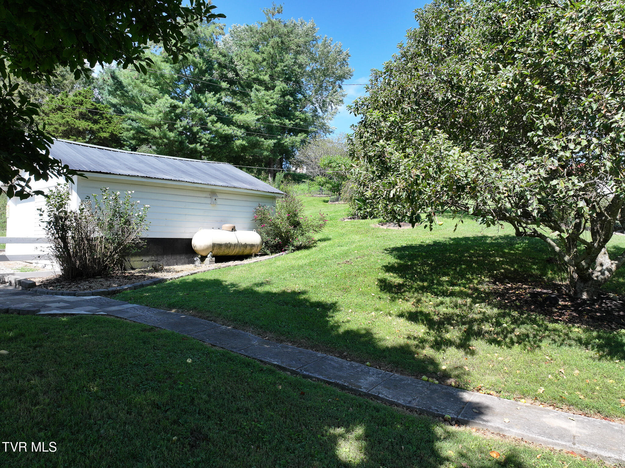 1005 Old Snapps Ferry Road Chuckey, TN 37641 - Photo 34 of 50 DJI_20250804103034_0277_D