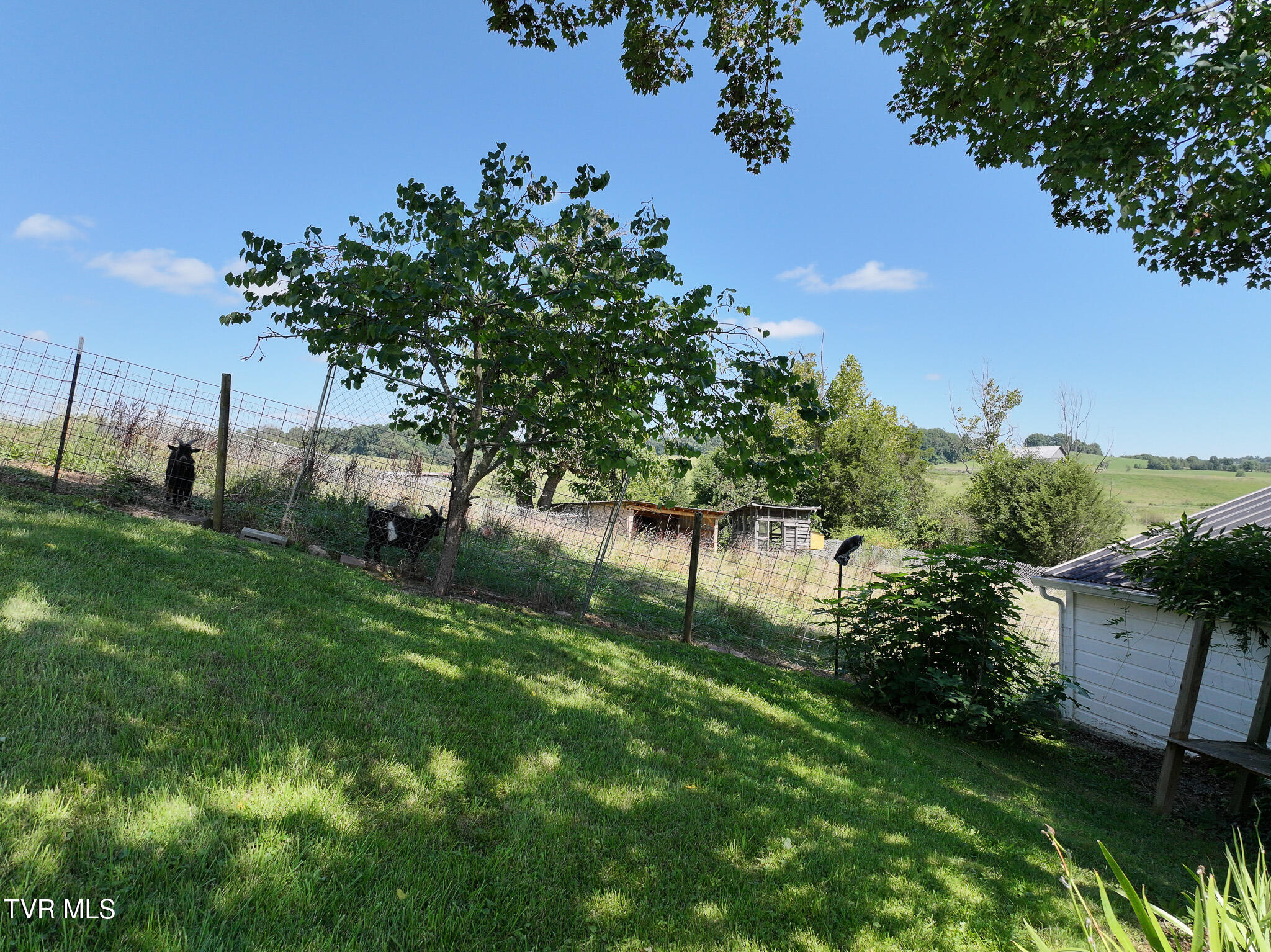 1005 Old Snapps Ferry Road Chuckey, TN 37641 - Photo 43 of 50 DJI_20250804103629_0299_D