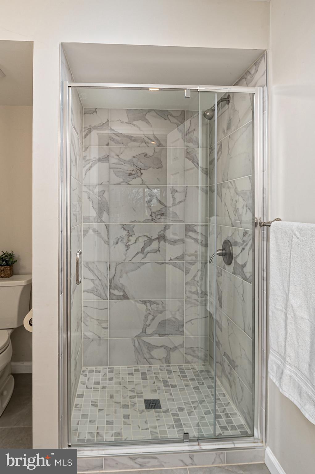 8409 Glenmar Road Ellicott City, MD 21043 - Photo 20 of 48 Bathroom 2 Shower