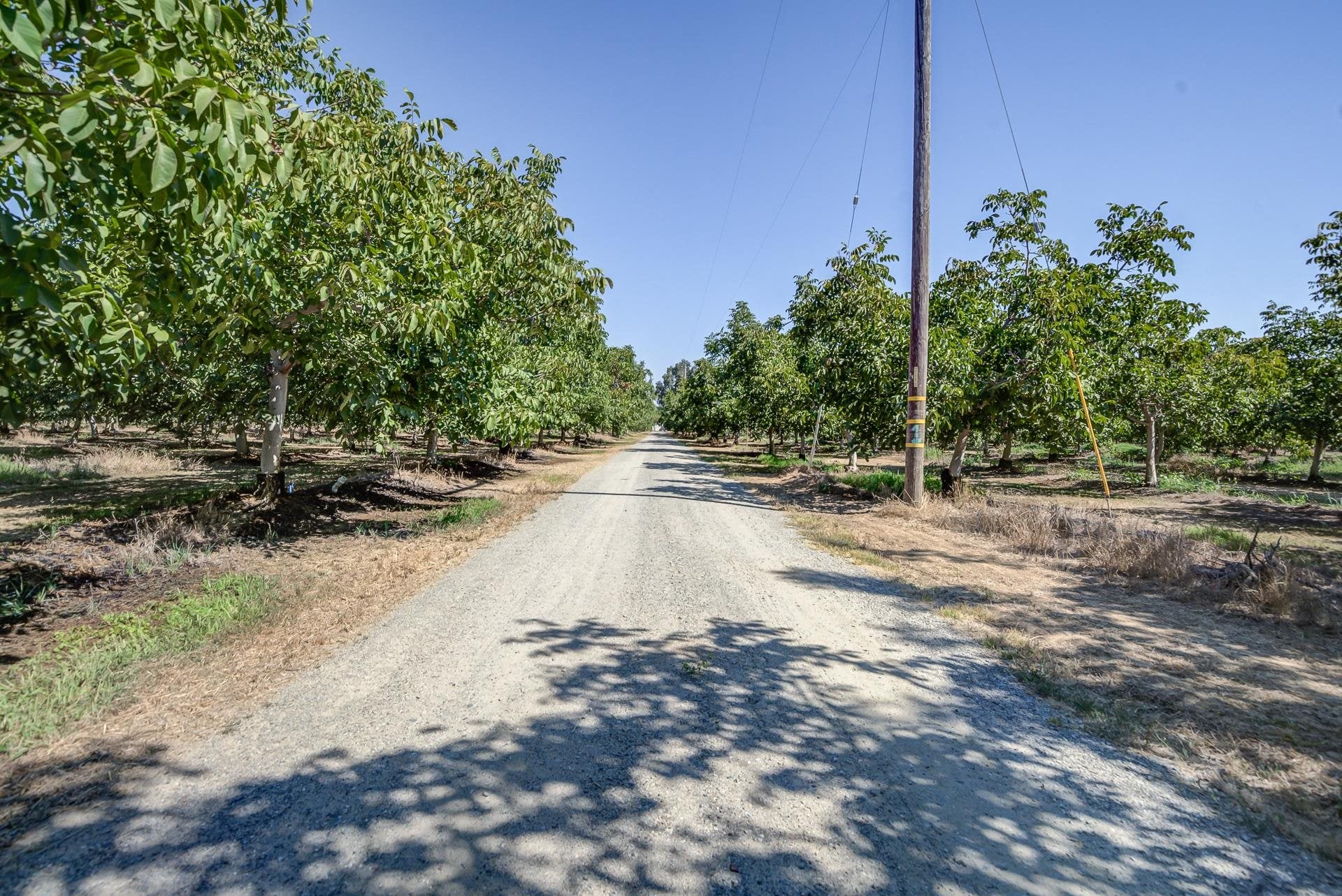 23622 Proberta Road Gerber, CA 96035 - Photo 72 of 72 Gallery Image 72
