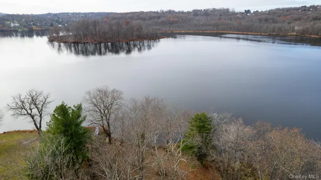 a view of a yard with large trees