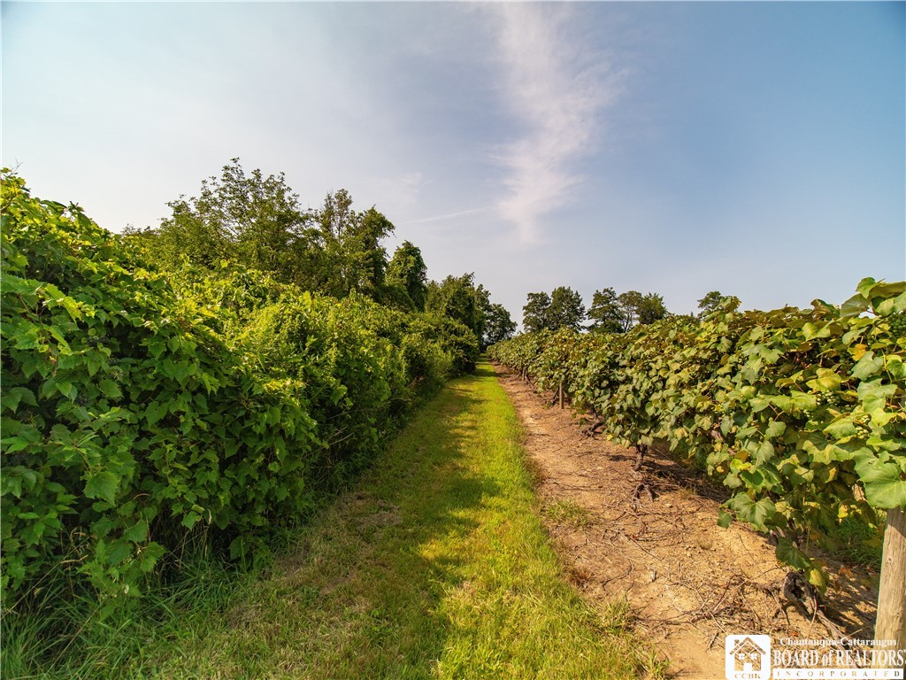 10283 West Lake Road Ripley, NY 14775 - Photo 13 of 17 Gallery Image 13