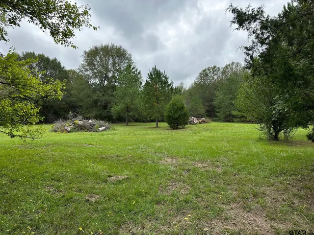 a view of green field with trees in the background