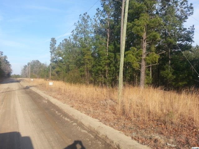 Tbd Hickory Hill Road Gresham, SC 29546 - Photo 3 of 4 Gallery Image 3