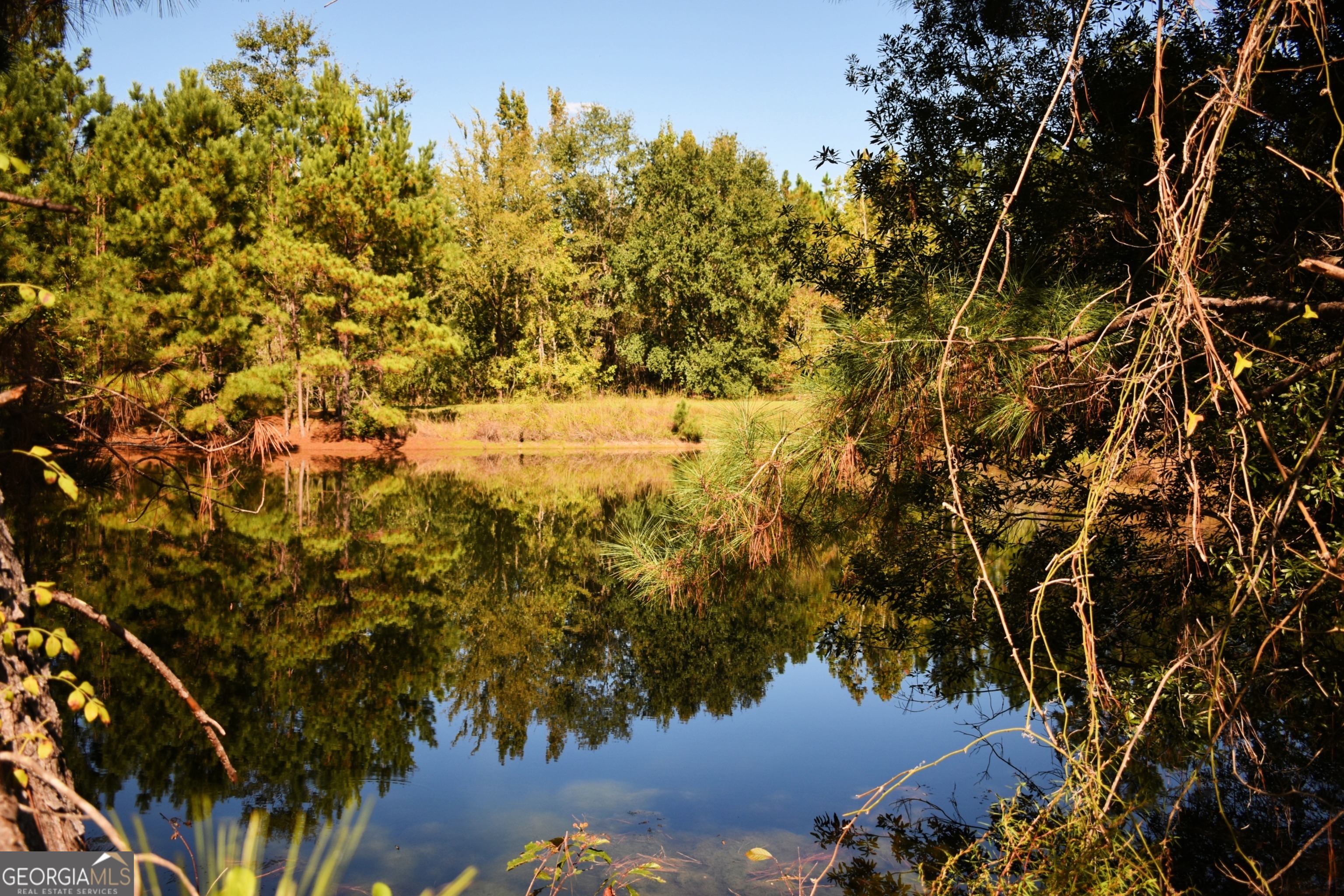 496 Gray's Landing Road Uvalda, GA 30473 - Photo 18 of 19