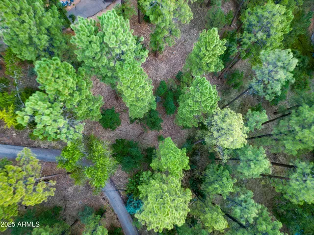 $835,000 | 2200 West Whispering Springs, Show Low, AZ 85901