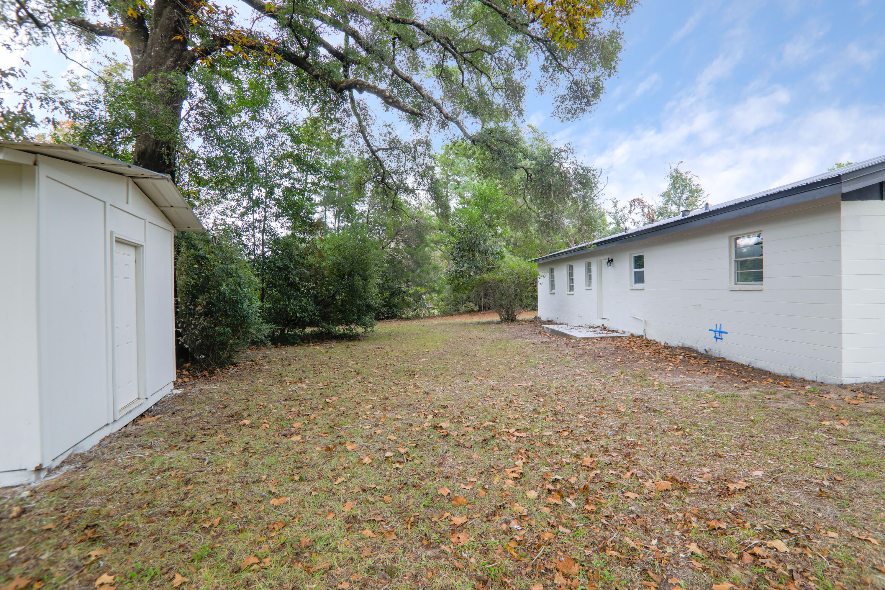 16 Pond Creek Road Crestview, FL 32539 - Photo 20 of 20 a view of backyard and tree