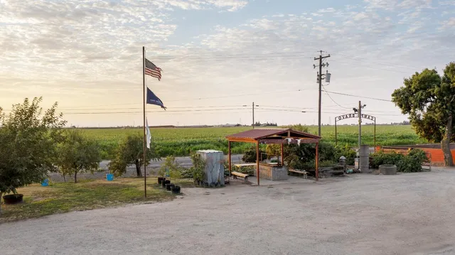 a view of a chair and table in the backyard