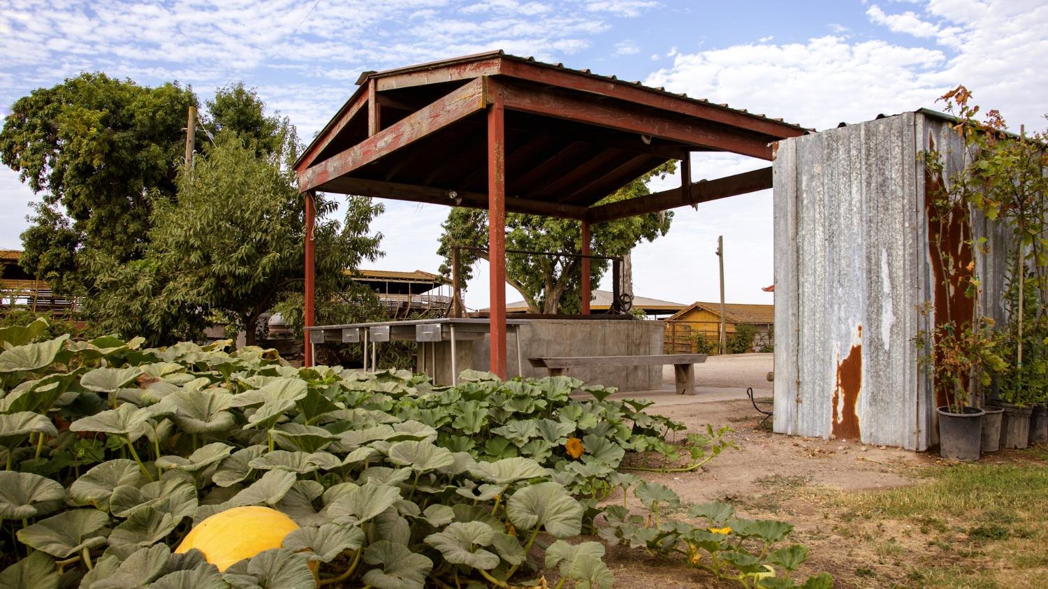 0 Escalon Belotta Road Escalon, CA 95320 - Photo 17 of 38 a view of a chair and table in the backyard