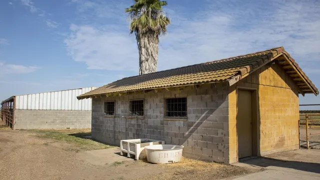 a view of house with backyard