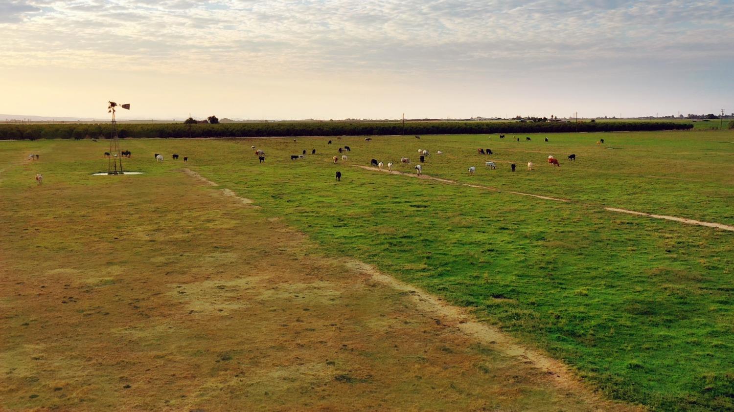 0 Escalon Belotta Road Escalon, CA 95320 - Photo 23 of 38