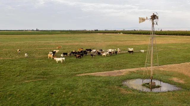 a view of a lake with a nearby beach