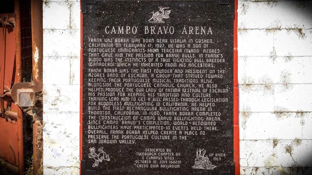 a view of a field with grass