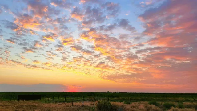 $4,500,000 | 0 Escalon Belotta Road, Escalon, CA 95320