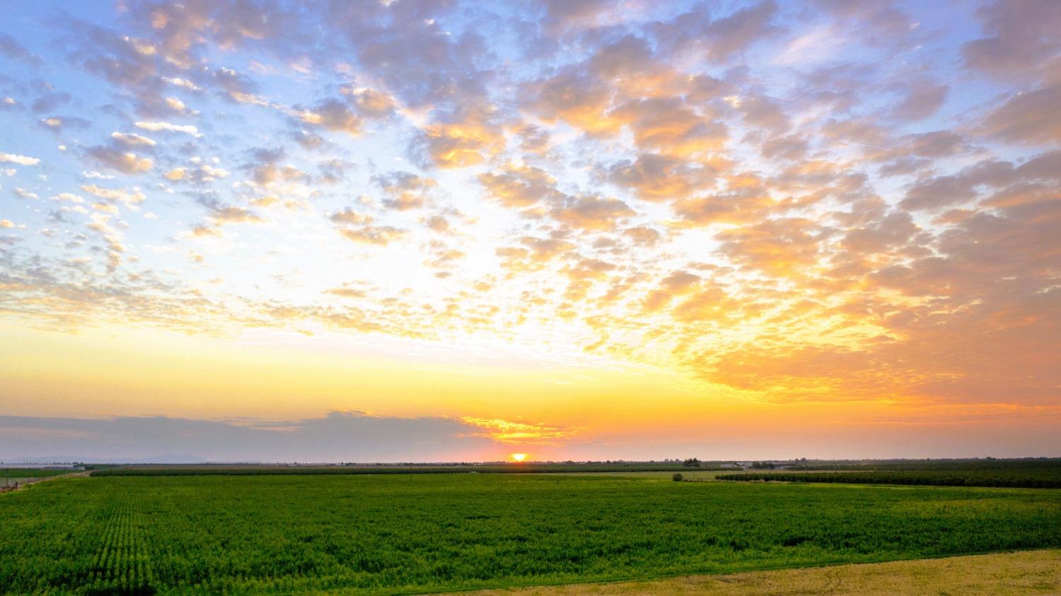 0 Escalon Belotta Road Escalon, CA 95320 - Photo 6 of 38 unknown