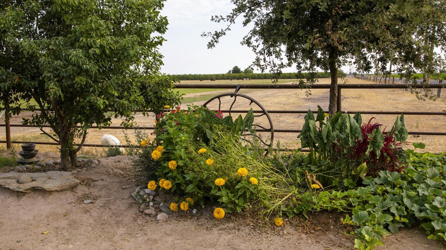 0 Escalon Belotta Road Escalon, CA 95320 - Photo 8 of 38 a view of lake