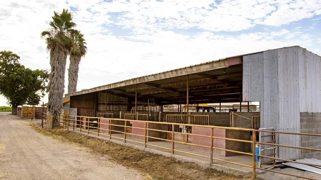 a view of a backyard with a wooden fence and a bench