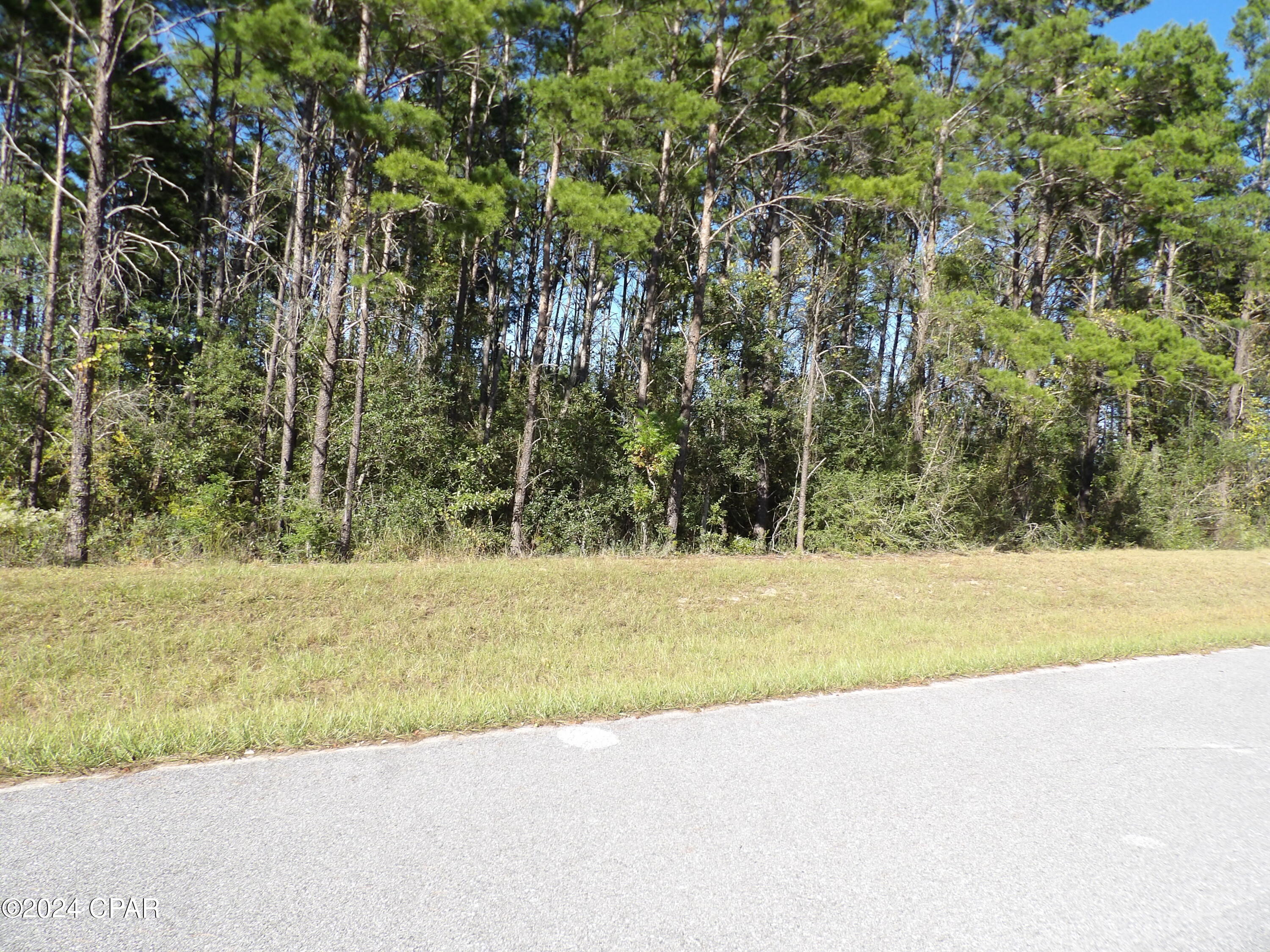 14723 Bream Pond Road Panama City, FL 32409 - Photo 14 of 25 Gallery Image 14