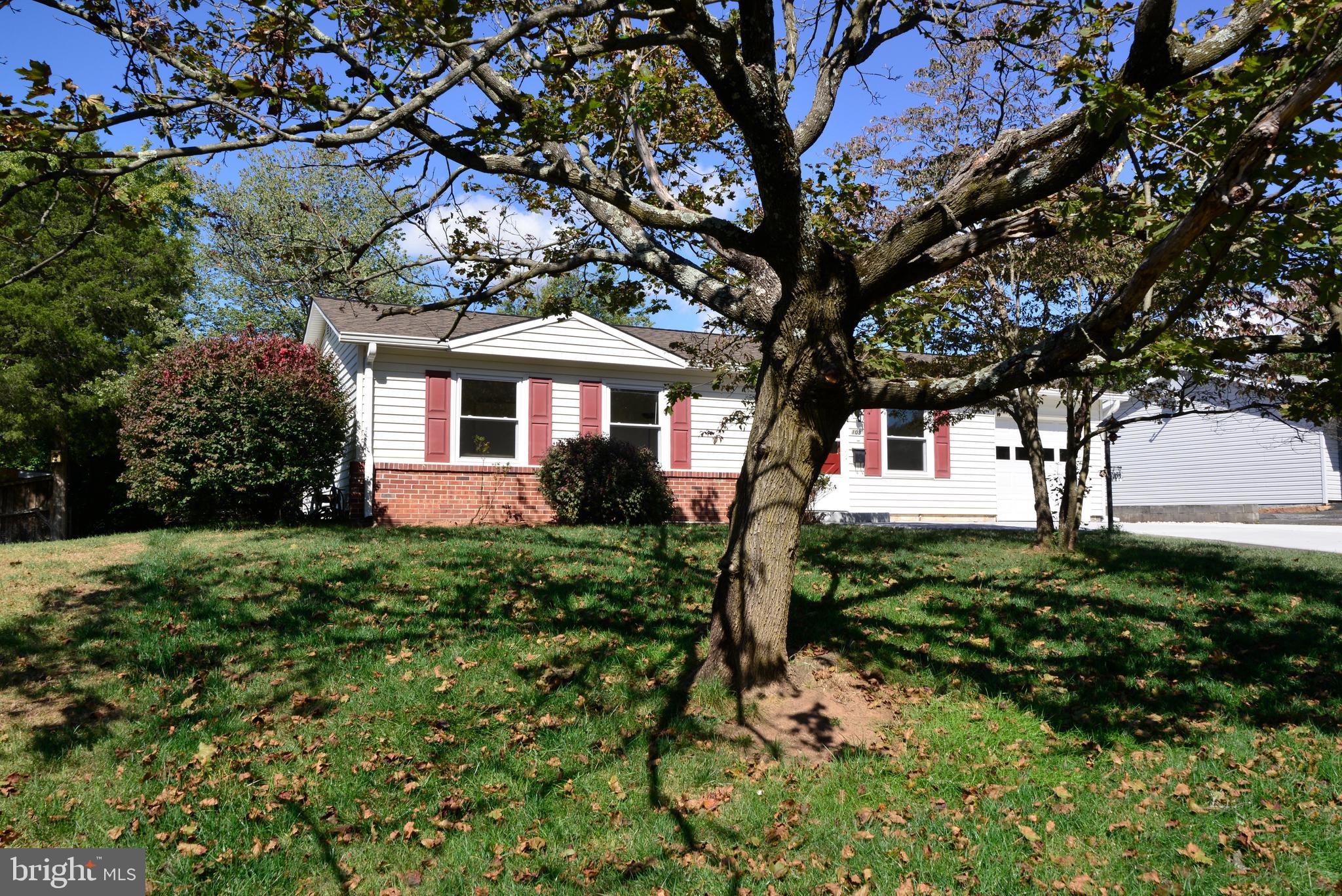 103 North Sycamore Road Sterling, VA 20164 - Photo 3 of 22 Yard with mature trees