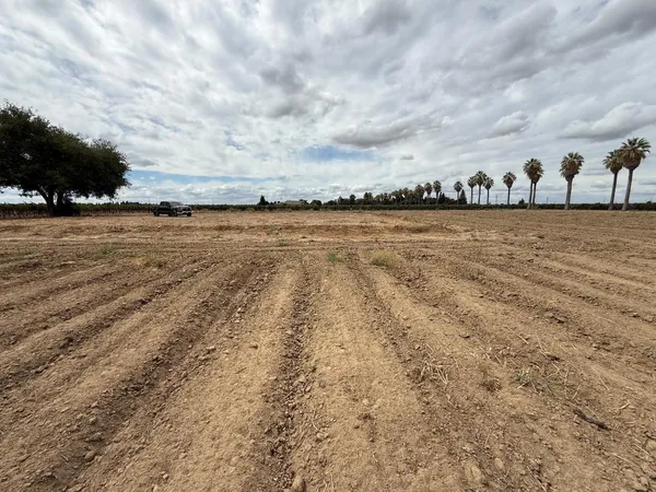 $2,200,000 | 4000 East Acampo Road, Clements, CA 95220