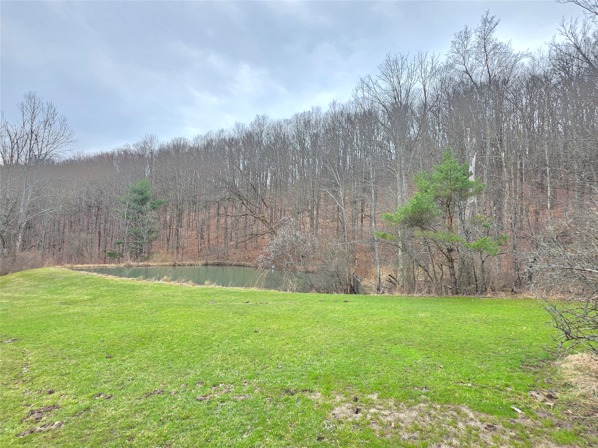 514 Crumtown Road Spencer, NY 14883 - Photo 32 of 49