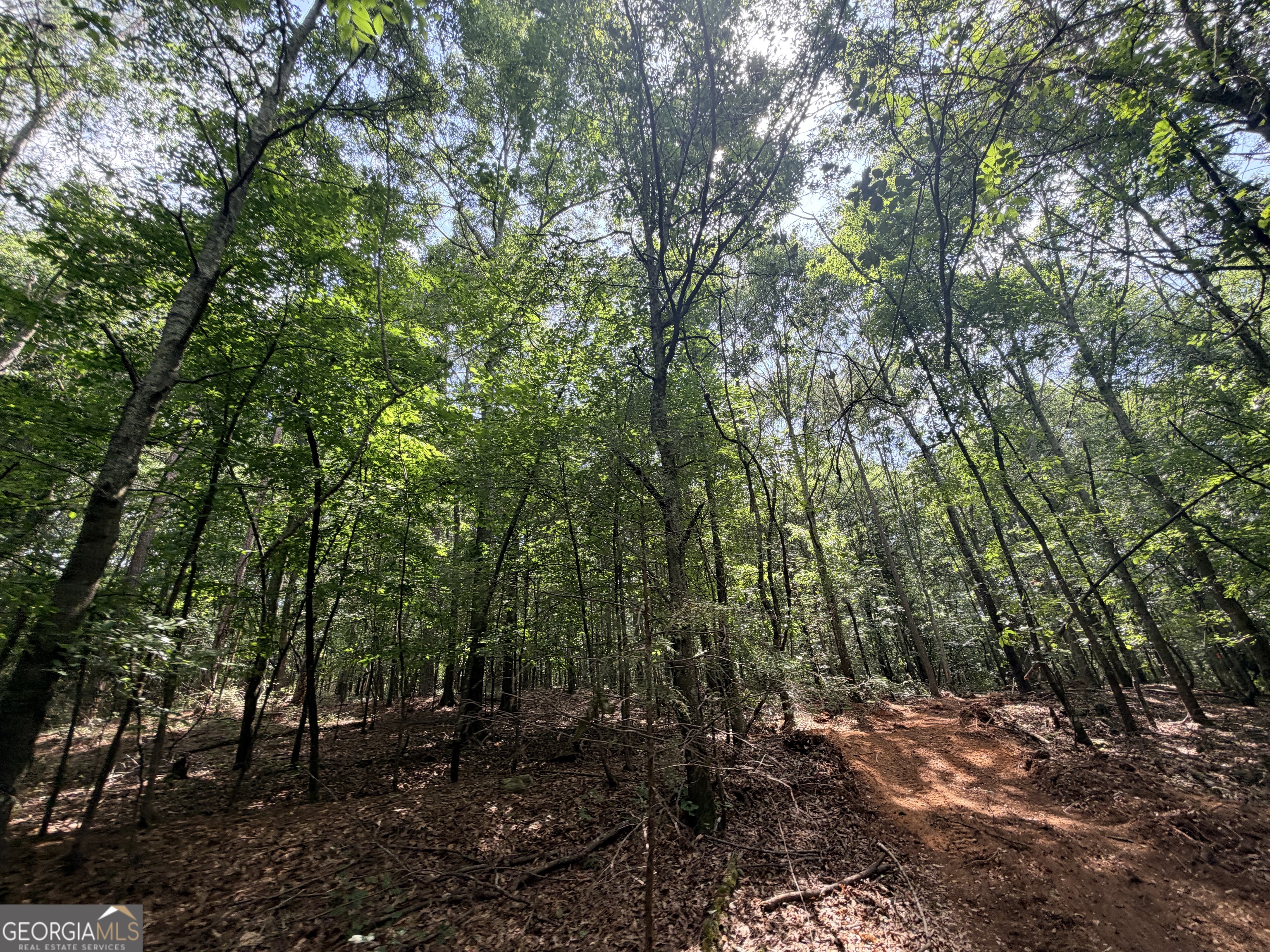 1590 James Adams Road Danielsville, GA 30633 - Photo 14 of 98