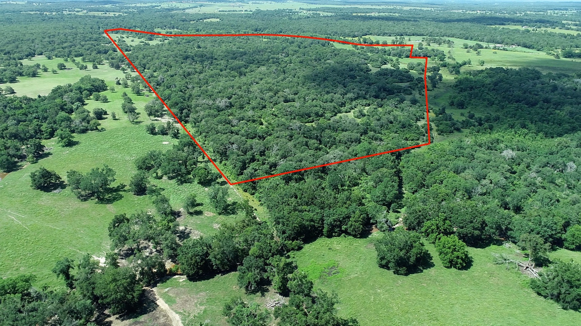 2055 Cr 342 Road Milano, TX 76556 - Photo 3 of 9
