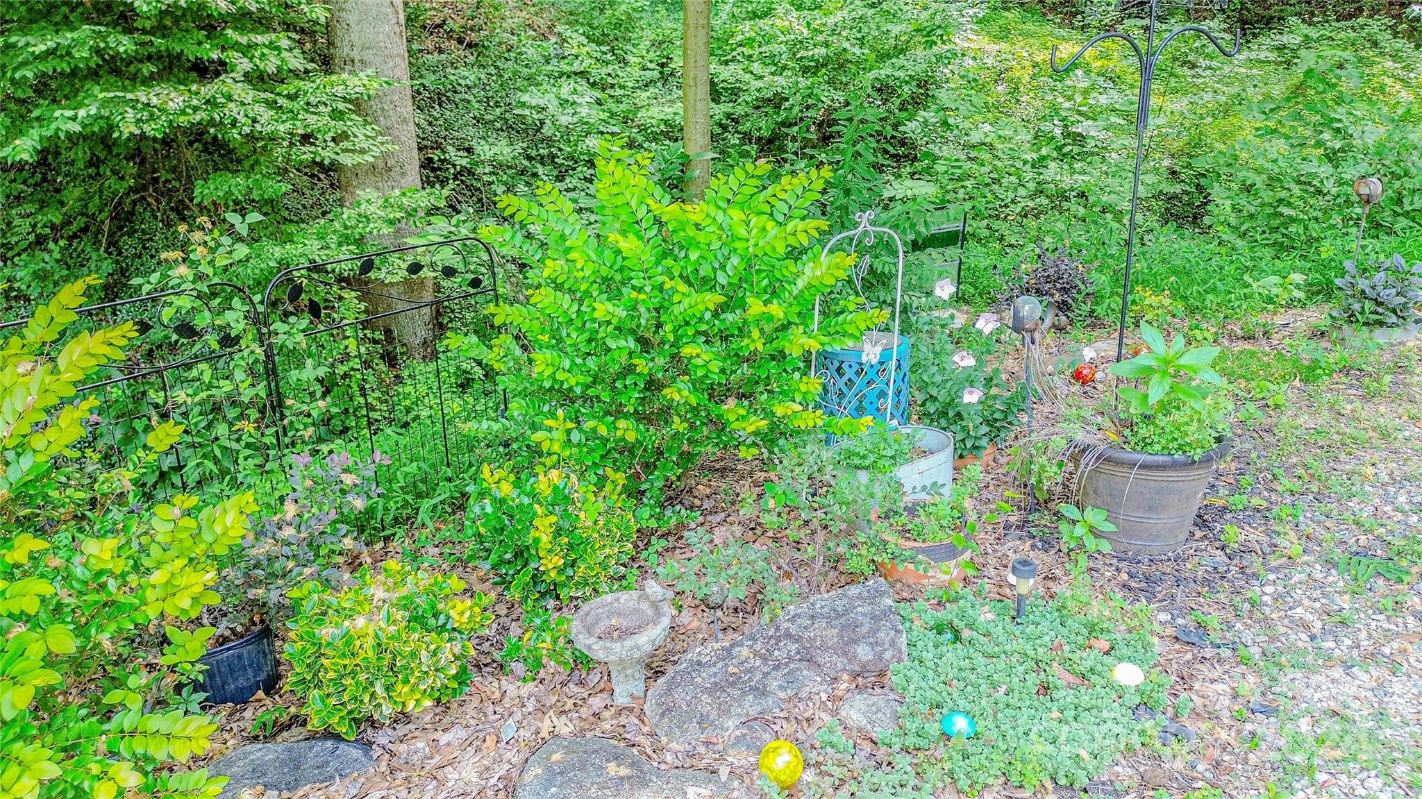 812 Walker Store Road Ellenboro, NC 28040 - Photo 42 of 43 Gallery Image 42