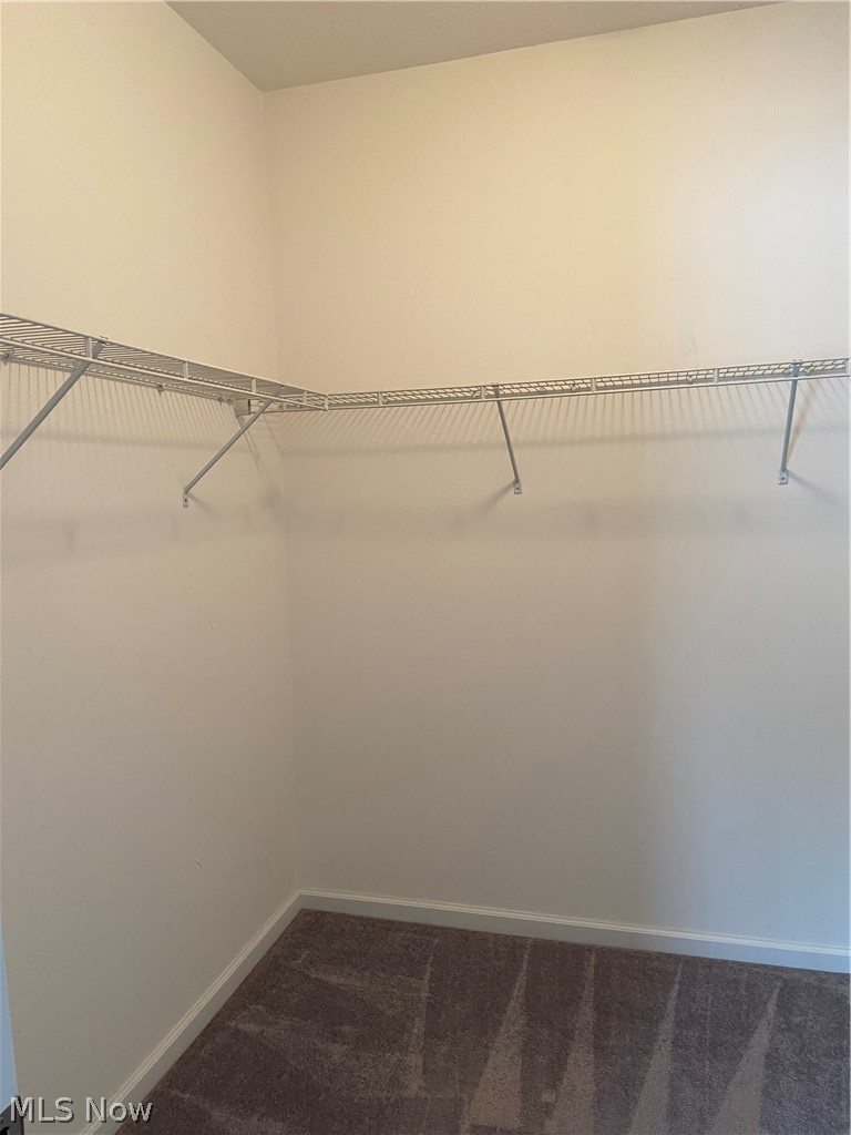 201 Orchardview Road Independence, OH 44131 - Photo 11 of 18 Master bedroom walk-in closet